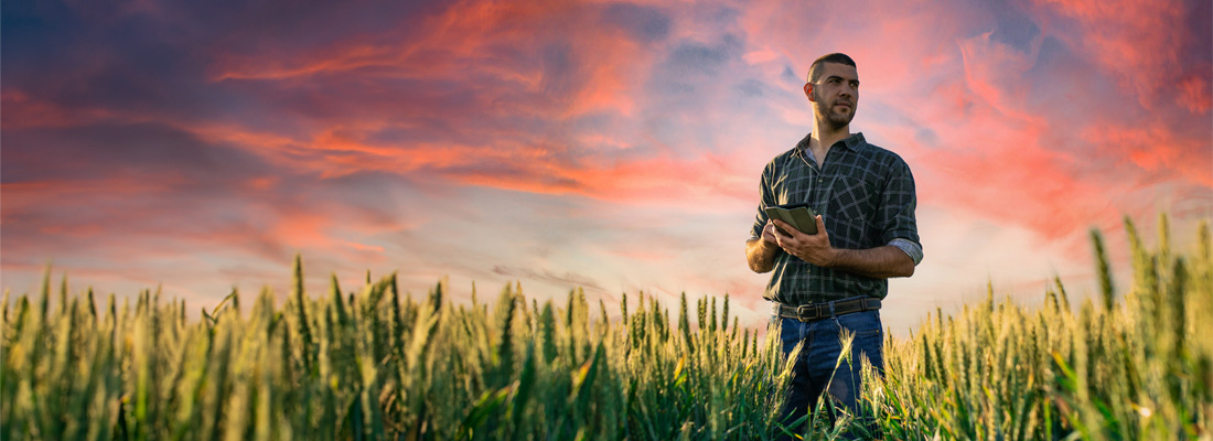 Man in field of crops